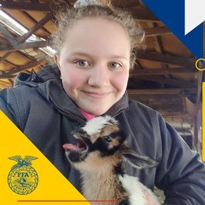 Meet your Posher, Daisy